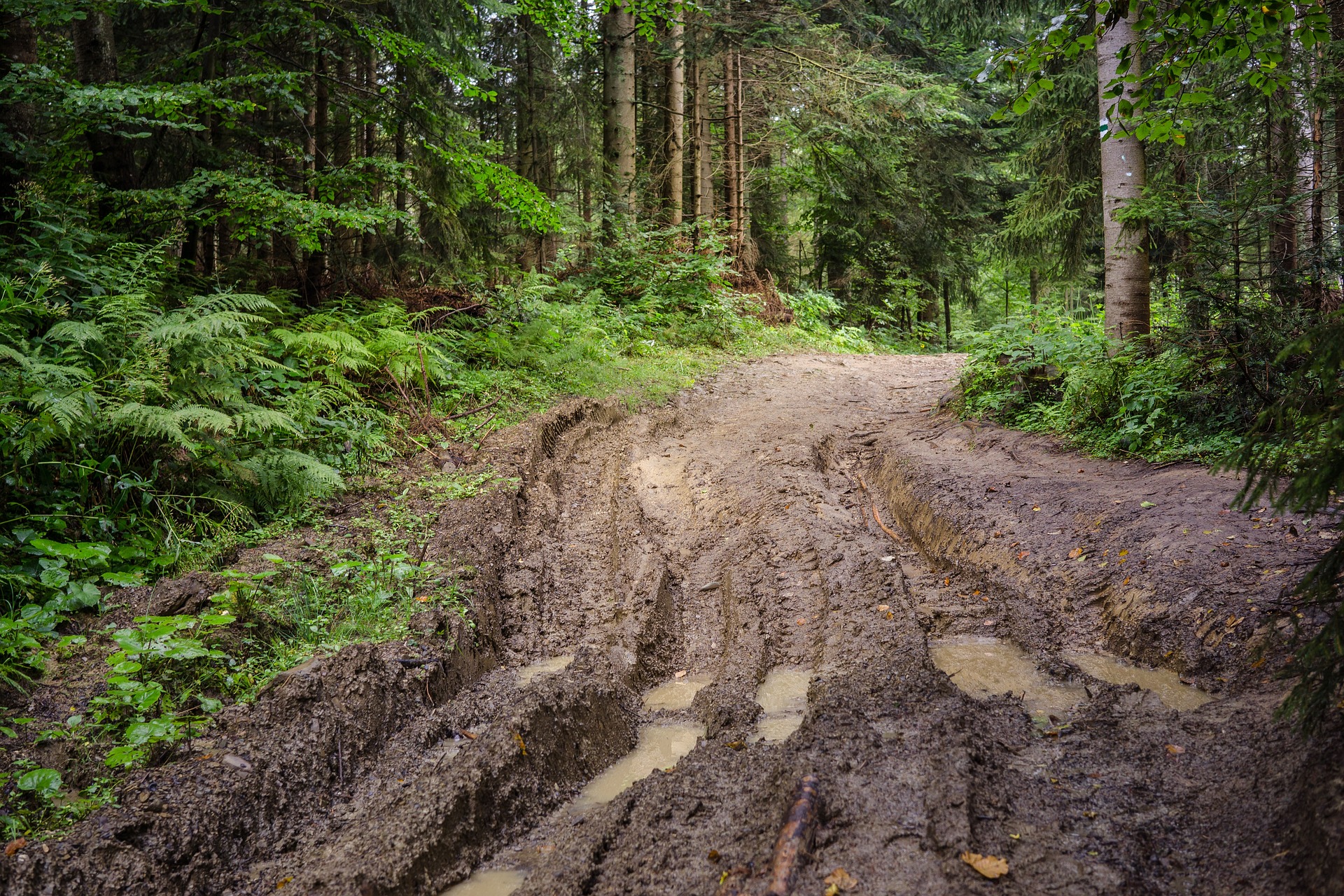 muddy, washed out road