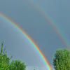 Rainbow in a wooded area